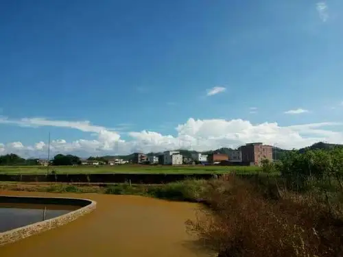 兴宁坭陂永辉农庄