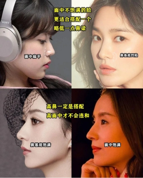 直鼻,直鼻微翘,翘鼻,微驼峰,好看的鼻子怎么选?