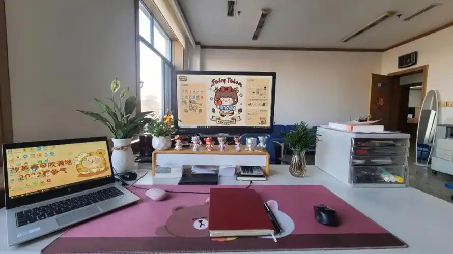 体制内办公桌布置