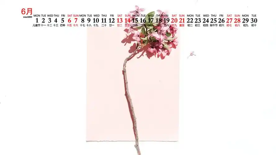 2020年6月小清新背景图片日历壁纸