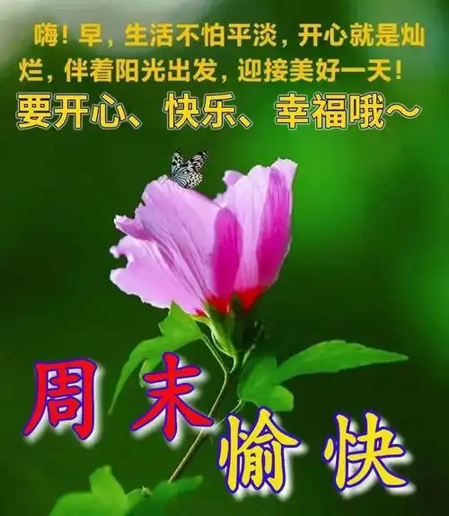 7月9日周日早上好早安祝福图片早上好问候语周末愉快吉祥如意