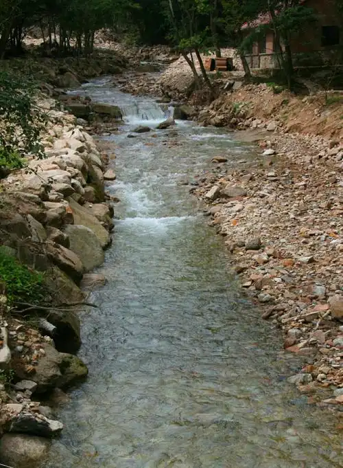 清澈碧绿龙潭水