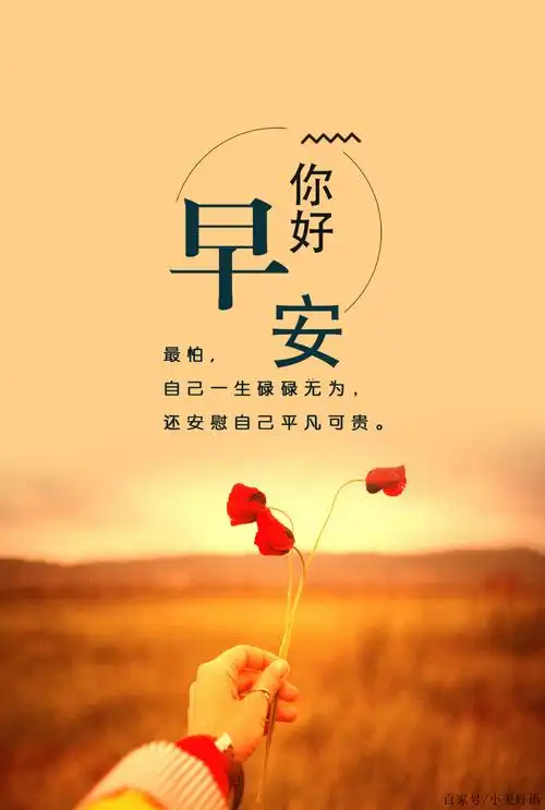 早安心语简单一句话(早安让人看了舒服的句子) - 精美文字摘录