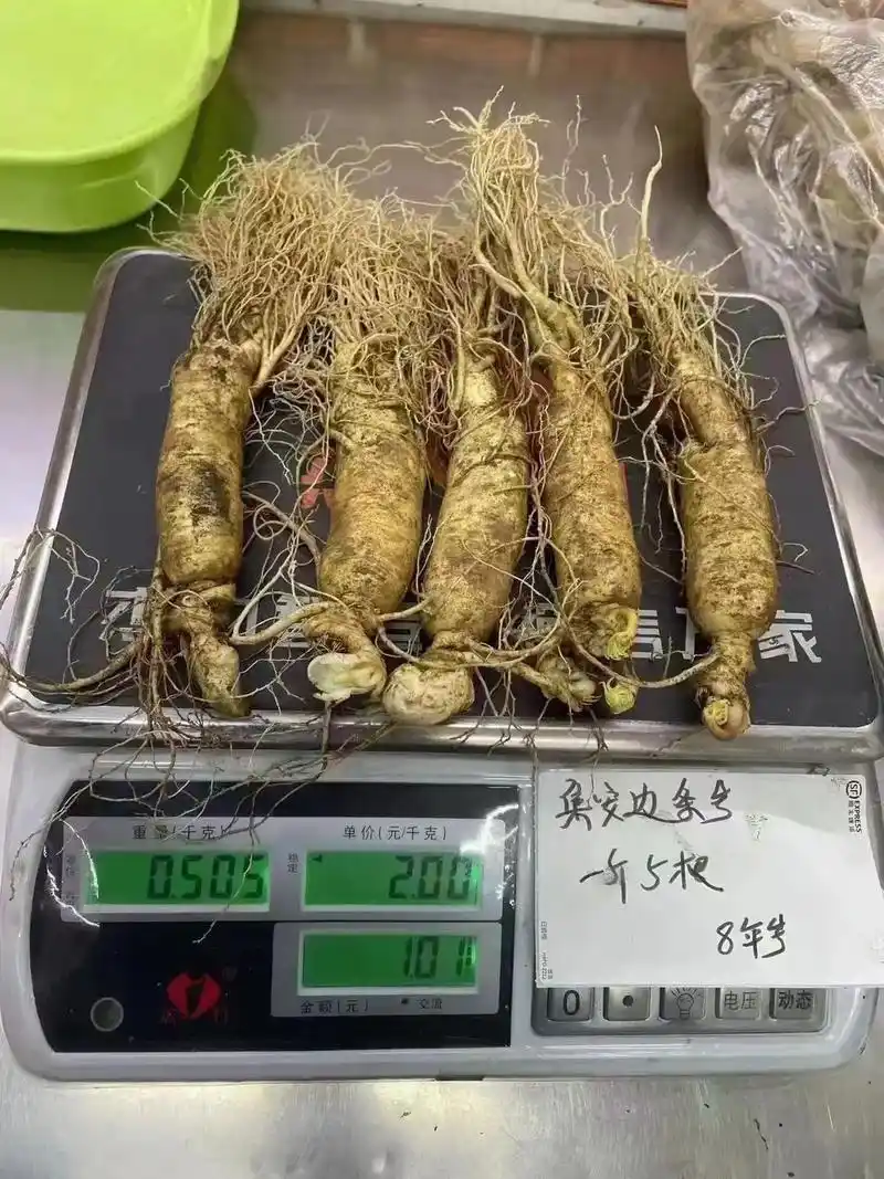 国参新开河8年参.国参新开河8年参: 规格:1斤5～7根 特 - 抖音