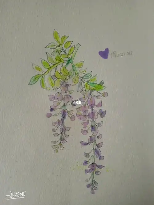 画画的日常  #随便画画  #紫藤花  #花语  #绘画  #简笔画  #紫儋