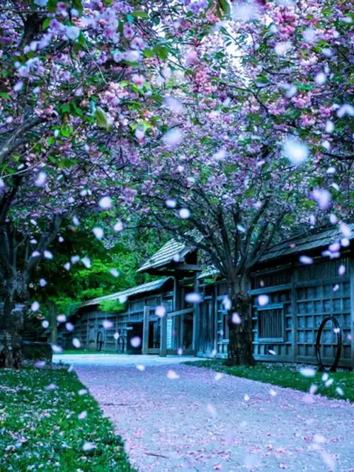 能帮我做一个600x800像素,不超过5m的jpg的图片吗?