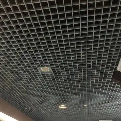 中山纪念馆白色铝格栅吊顶100x100铝格栅图片