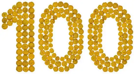 阿拉伯数字 100, 100, 从黄色的花艾菊, 我照片