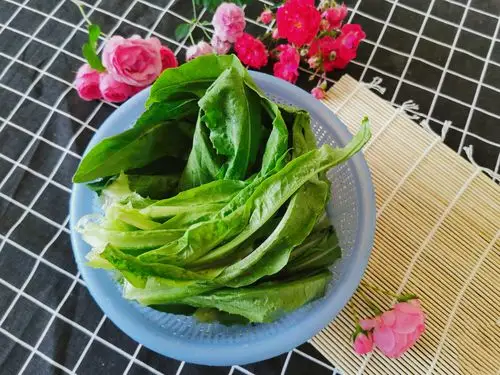 油麦菜又称作香水生菜.
