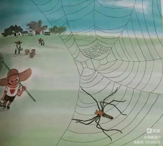 蜘蛛的家