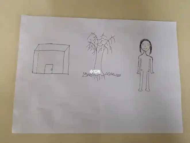 20岁医学女生的房树人分析