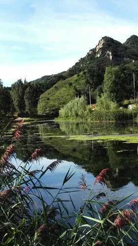 怀柔琉璃庙湿地公园一日游