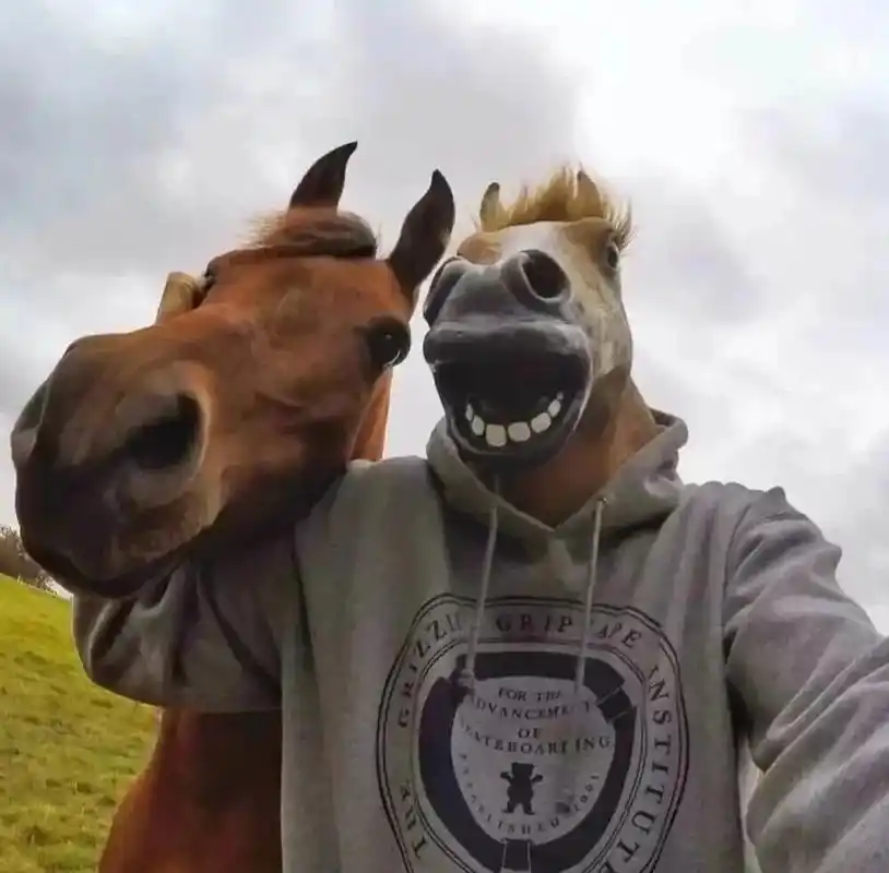 沙雕头像欢迎取图