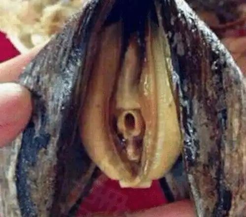 原创男人一旦56,总是腰酸腿软,定要多吃下面"猛料",浑身是劲