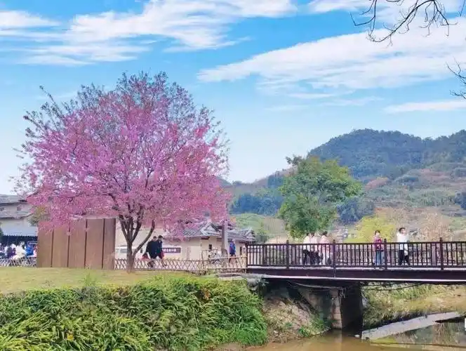 秋千谷景区入园门票赠送(二选一)购买门票(全价票70元)福建土楼(华安)