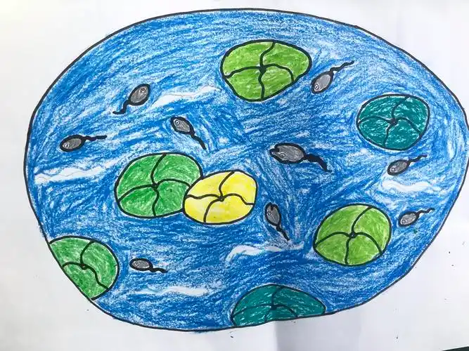 精英之家国际教育集团——桂城富景幼儿园中三班绘画《池塘里的小蝌蚪