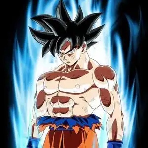 自在极意功头像