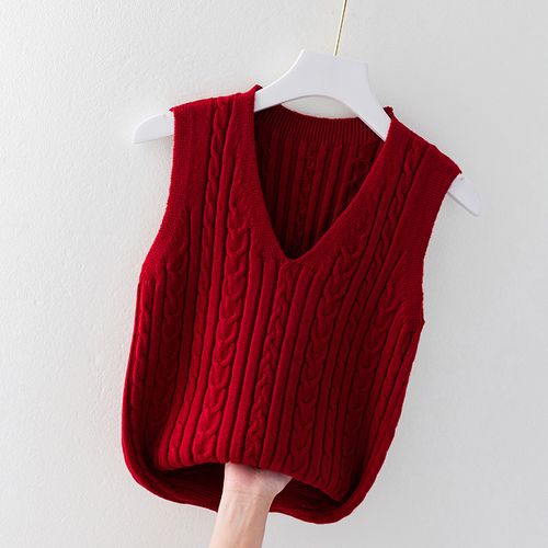 女士马甲针织衫潮流时尚2021年秋款外搭宽松无袖打底毛线毛衣背心