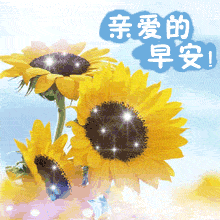 动态图文 - 堆糖,美图壁纸兴趣社区