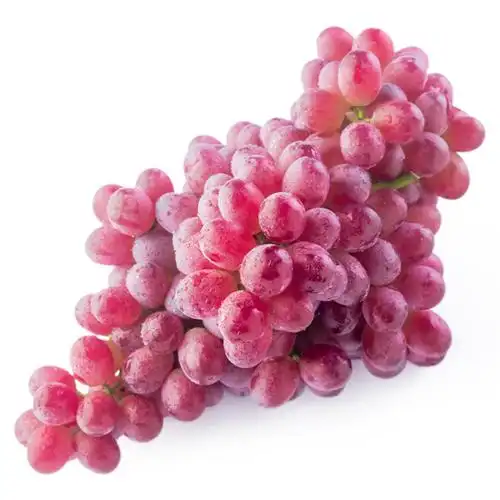 【天猫超市】云南宾川无籽红提500g 新鲜水果 葡萄