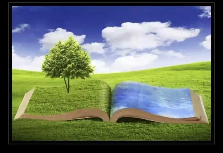 如果把生活比喻为创作的意境,那么阅读就像阳光.