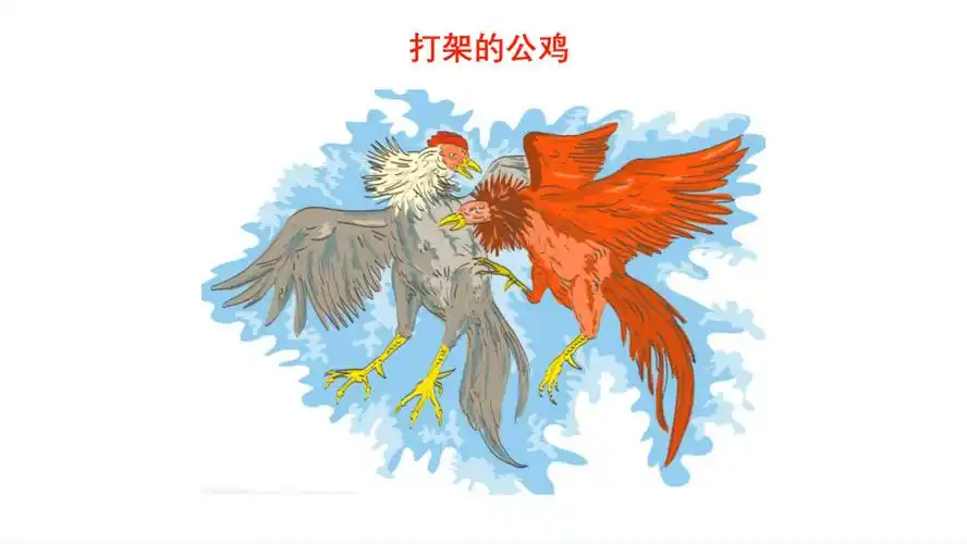 儿童故事打架的公鸡
