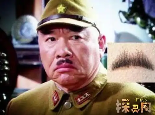 盛世影响,并开始全面学习唐朝文化,于是当时日本武士胡子就变为八字样