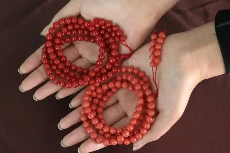 宝石红珊瑚简介之沙丁