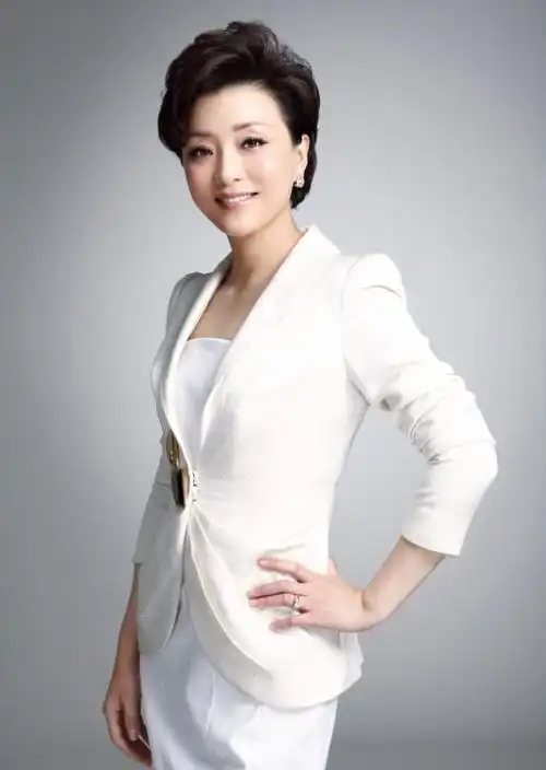 杨澜的个人简历,杨澜个人资料简介(杨澜:与普通丈夫离婚)