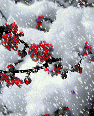 300_372竖版 竖屏gif 动态图 动图