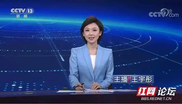 对央视美女主持人播音员郑丽的小小评议