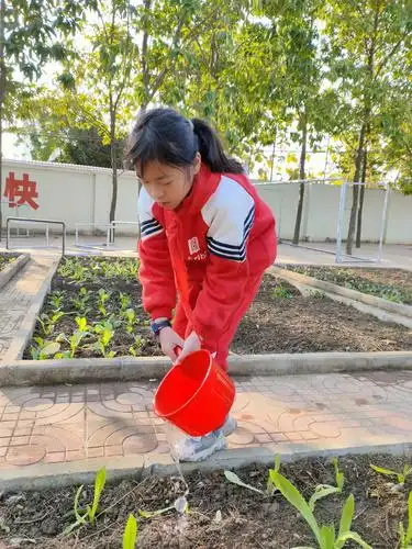 我劳动 我光荣——小江小学劳动技能赛拉开序幕