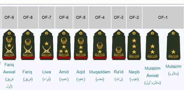 阿联酋位于阿拉伯半岛东部,总面积83600平方公里,海岸线长734公里