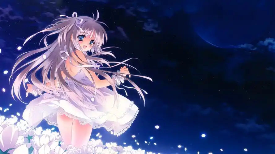 夜晚,天空,月亮,星星,花,女孩,连衣裙,唯美星空动漫壁纸