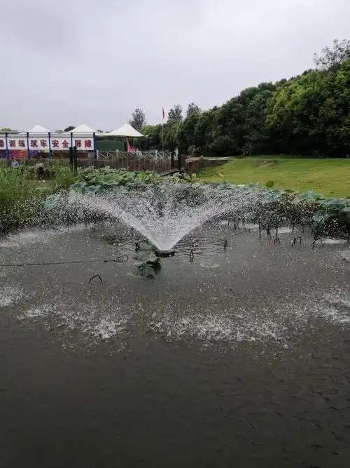 泰兴黄桥之小南湖