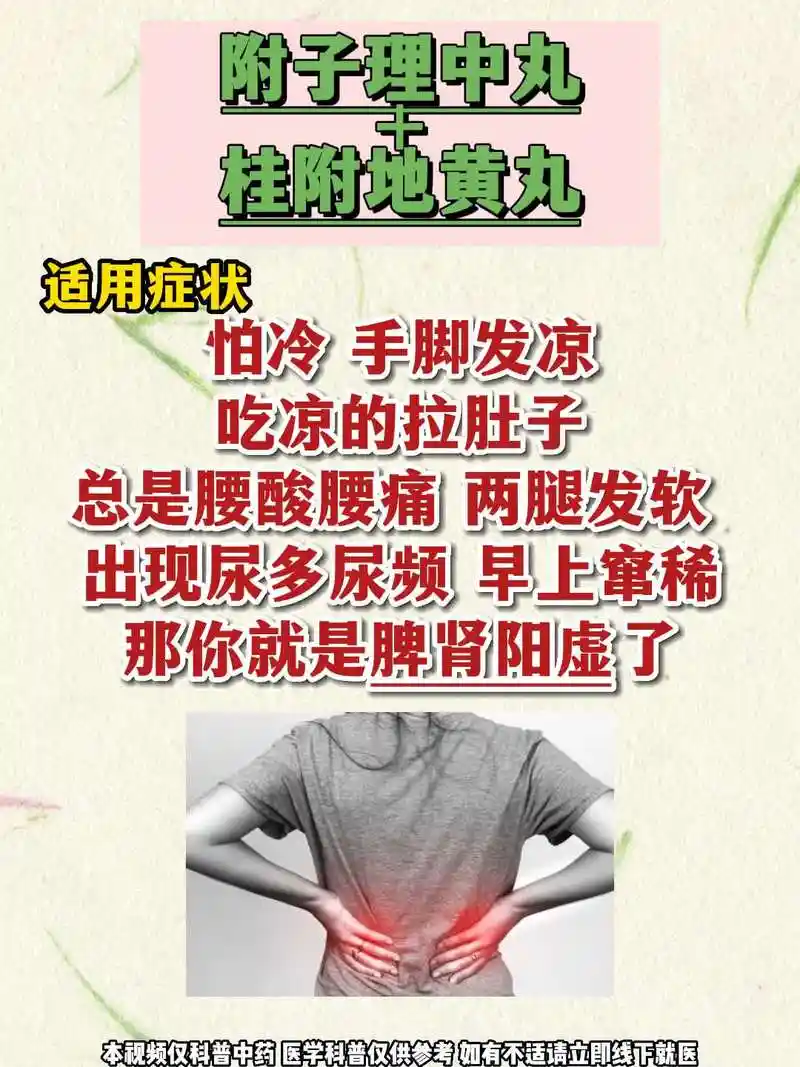 附子理中丸巧搭配,补阳散寒,健脾补肾,还能燥湿化痰!