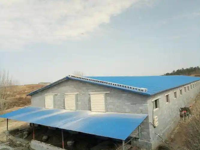 养鹅的注意了不同季节鹅舍温度控制注意事项