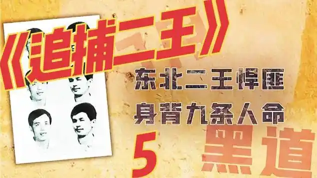 追捕二王根据东北二王真实案件改编_网易视频