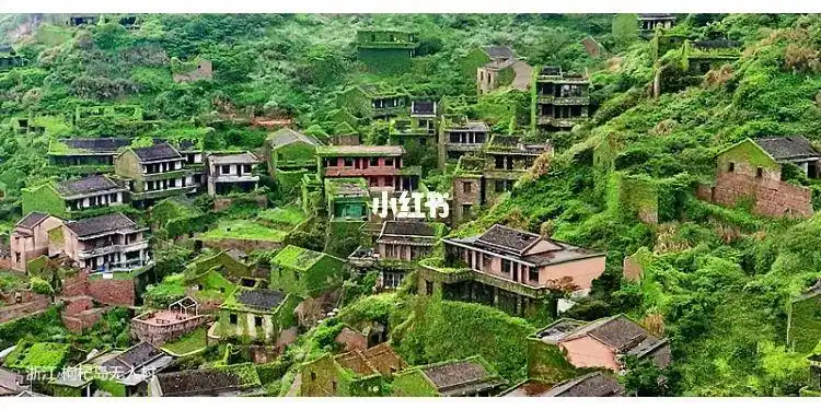 浙江枸杞岛无人村