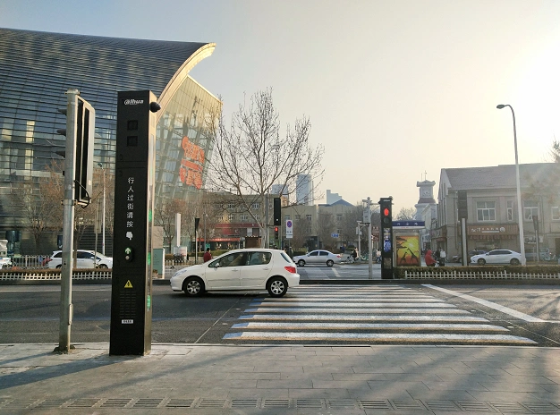 小区居住不久的市民王奶奶,正在海河东路小区门前的斑马线前等待过街