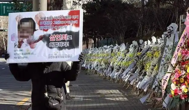 被领养8个月后她被养父母活活虐死肠破骨碎韩国郑仁案始末