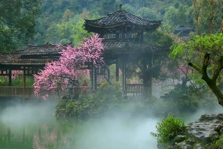 醉入桃花源 一一图,文都市独行者