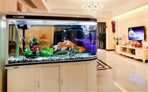 鱼缸水不清对风水好不好 鱼缸水不干净影响风水-神机妙算网