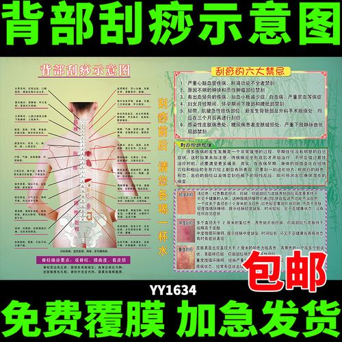 中医养生文化挂图 背部刮痧示意图墙贴画 美容院美体宣传海报定制