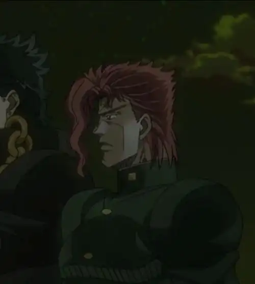 自截jojo情侣头像花承