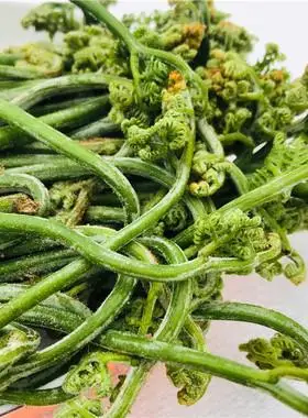 东北长白山新鲜冷冻旱青厥野生蕨菜