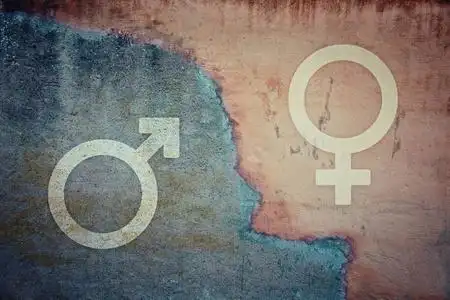 性别差距与性别不平等概念照片