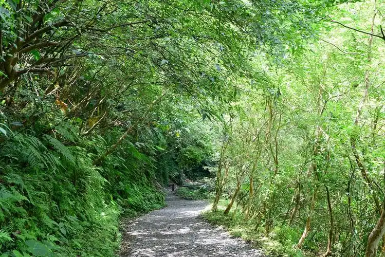 【宜兰礁溪景点推荐】林美石磐步道 有小太鲁阁之称的山林美景!