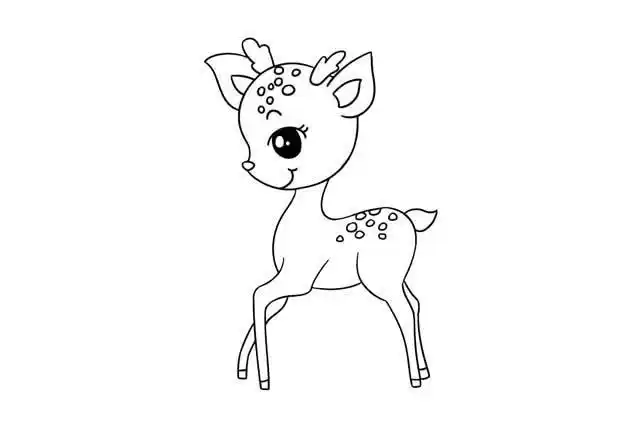 鹿带颜色的动物简笔画