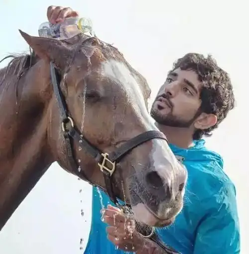 谢赫·哈曼丹·本·穆罕默德··本·拉希德·阿勒马克图姆